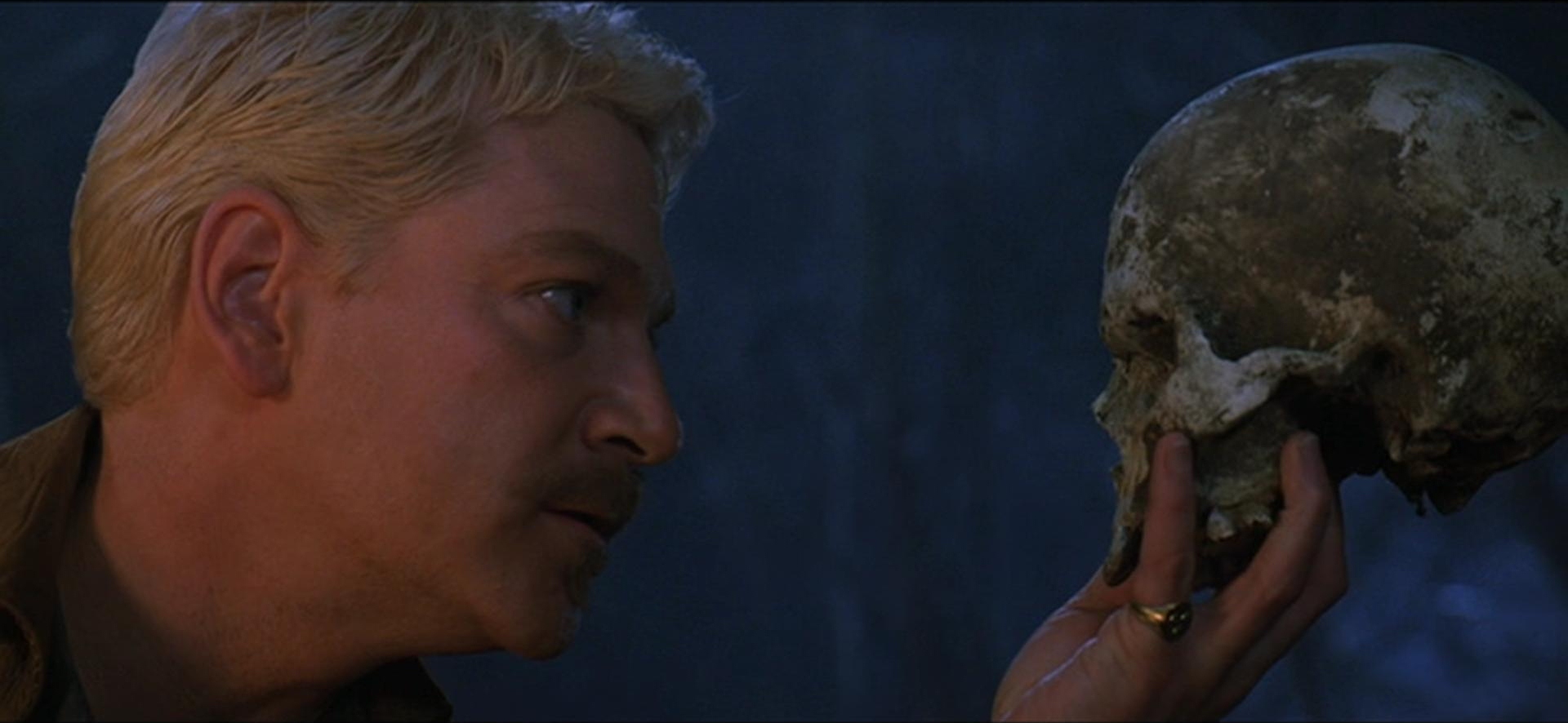 Hamlet and skull man next to a deep pit Royalty Free Vector